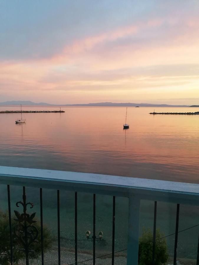 Villa Evmenia Panoramic View & Sea Front Apartments Skopelos Exterior foto