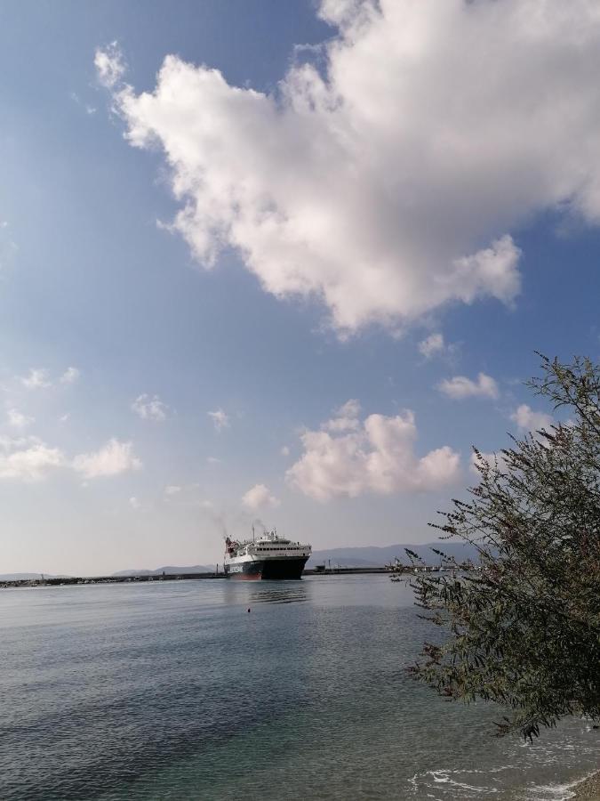 Villa Evmenia Panoramic View & Sea Front Apartments Skopelos Exterior foto